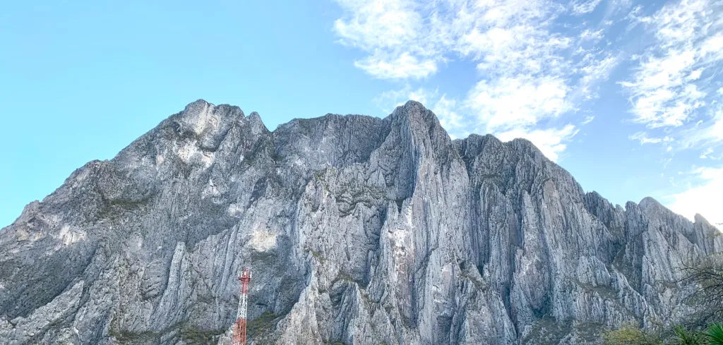 Big Mexico Whipper on El Sendero Luminoso