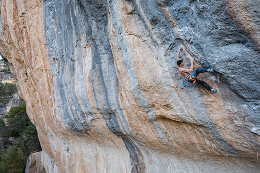 Sleeping Lion: Jorge Díaz-Rullo Wakes the Beast