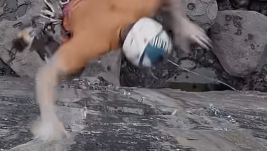 Big Trad Climbing Fall