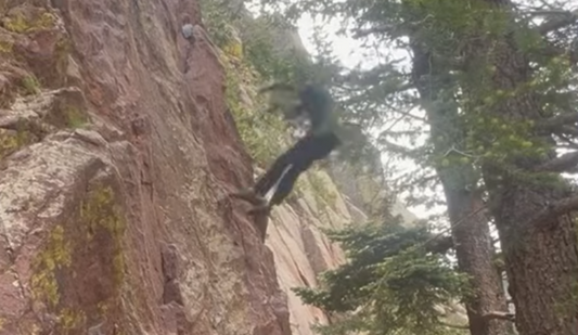 Climbing Gear Breaks! Climber Takes Huge Fall